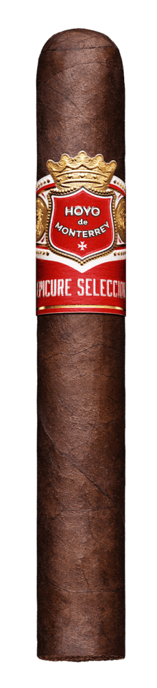 Hoyo de Monterrey Epicure Selección available at Basic City in Waynesboro, VA